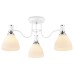Потолочная люстра Ambrella Light TR TR303302