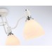 Потолочная люстра Ambrella Light TR TR303302