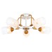 Потолочная люстра Ambrella Light TR TR303323