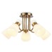 Потолочная люстра Ambrella Light TR TR3218