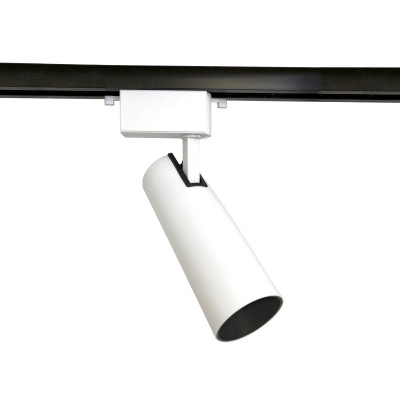 Светильник на штанге Ambrella Light GL GL5851