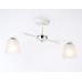 Светильник на штанге Ambrella Light TR TR303201