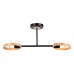 Светильник на штанге Ambrella Light TR TR8244