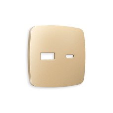Лицевая панель для розетки 2USB тип A+C Ambrella Volt Omega OP6110