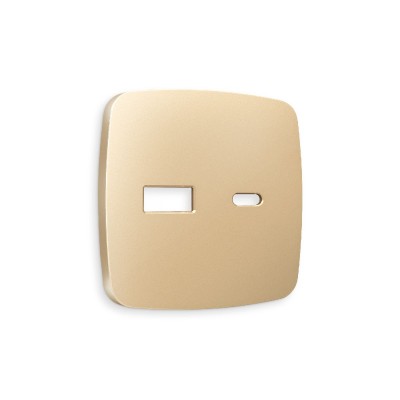 Лицевая панель для розетки 2USB тип A+C Ambrella Volt Omega OP6110