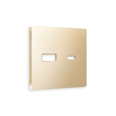 Лицевая панель для розетки 2USB тип A+C Ambrella Volt Alfa AP6110