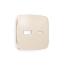 Лицевая панель для розетки 2USB тип A+C Ambrella Volt Omega OP3110