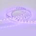 Светодиодная лента Arlight RT 2-5000 12V Blue 2x (5060, 300 LED, LUX) 012336