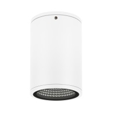 Уличный потолочный светильник Arlight LGD-Forma-Surface-R90-12W Day4000 037259