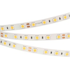 Светодиодная лента Arlight Rt-b60-10mm 5060 011571(2)