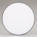 Потолочный светильник Arlight IM-RONDO-EMERGENCY-3H-R250-33W Day4000 (BK, 120 deg, 230V) 041063