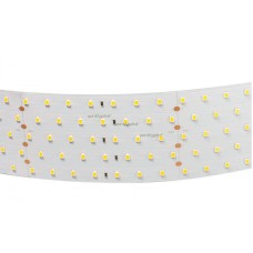 Светодиодная лента Arlight RT 2-2500 24V White6000 5x2 (2835, 875 LED, LUX) 019082(B)