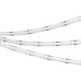 Светодиодная лента Arlight COB-X544-8mm 24V Blue (11.5 W/m, IP20, CSP, 5m) 032175(2)