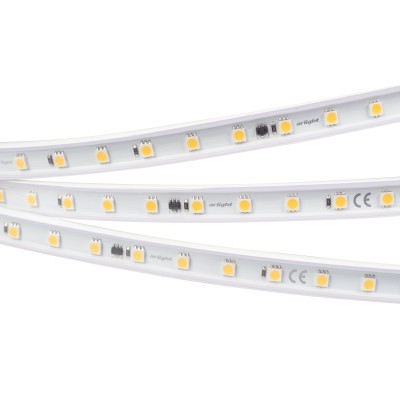 Светодиодная лента герметичная Arlight ARL-PV-B54-15.5mm 230V White6000 (8 W/m, IP65, 5060, 10m) 029403(2)