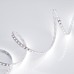 Светодиодная лента Arlight RT-A120-8mm 24V White6000 (9.6 W/m, IP20, 2835, 5m) 010347(2)