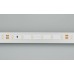 Светодиодная лента Arlight RT-A60-8mm 24V Warm2700 CRI98 (4.8 W/m, IP20, 2835, 5m) 021414(2)