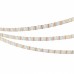 Лента светодиодная Arlight SPI 037855