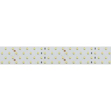 Лента светодиодная Arlight  019085(2)