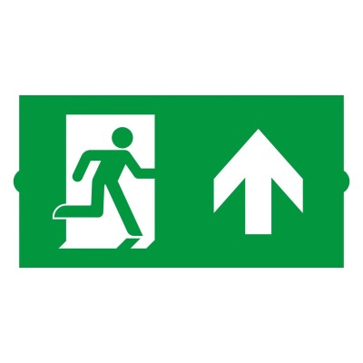 Пиктограмма Arlight EMERGENCY 046669