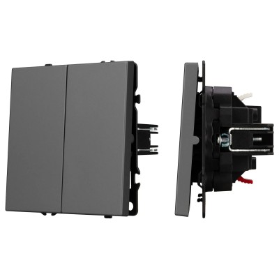 Выключатель двухклавишный без рамки Arlight SWT 054254