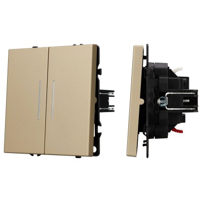 Выключатель двухклавишный без рамки Arlight SWT 054265