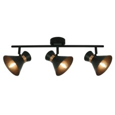 Спот Arte Lamp Baltimore A1406PL-3BK