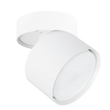 Накладной спот Arte Lamp Intercrus A5549PL-1WH