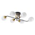 Потолочная люстра Arte Lamp Andrea A8141PL-6BK