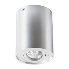 Потолочный светильник Arte Lamp A5644PL-1SI