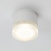 Уличный потолочный светильник Arte Lamp Piautos A1926PF-1WH