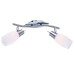 Спот Arte Lamp A4590AP-2SS