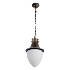 Уличный подвесной светильник Arte Lamp Vienna A1317SO-1BN
