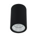 Уличный потолочный светильник Arte Lamp Torcular A1807PF-1BK