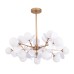 Люстра на штанге Arte Lamp Peacock A1369SP-15SG