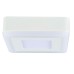 Потолочный светодиодный светильник Arte Lamp Altair A7709PL-2WH