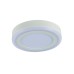 Потолочный светодиодный светильник Arte Lamp Antares A7809PL-2WH