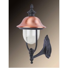 Уличный настенный светильник Arte Lamp Barcelona A1481AL-1BK