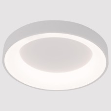 Накладной светильник Arte Lamp None A2695PL-50WH