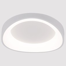 Накладной светильник Arte Lamp None A2698PL-48WH