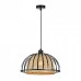 Подвесной светильник Arte Lamp Woodstock A7071SP-1BK