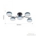 Потолочная люстра Arte Milano Ferrara 256606/5 Bk/Gr