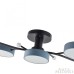 Потолочная люстра Arte Milano Ferrara 256606/5 Bk/Gr