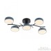 Потолочная люстра Arte Milano Ferrara 256606/5 Bk/Gr