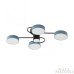 Потолочная люстра Arte Milano Ferrara 253039/4+1 Bk/Gr