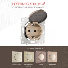 Розетка с заземлением, шторками и защитной крышкой Arte Milano 202.41-1.shampan