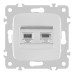 Розетка телефонная RJ11 + компьютерная RJ45 Arte Milano 205.44-1.silver