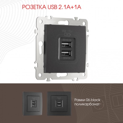 Розетка USB 2.1А+1А Arte Milano 206.46-1.black