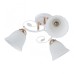 Потолочная люстра Arte Milano Amalfi 325395/3A WH+FG