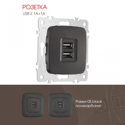 Розетка USB 2.1А+1А Arte Milano 205.46-1.black