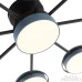 Потолочная люстра Arte Milano Ferrara 250406/8+1 Gr